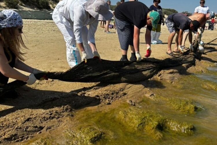 новость 10-10-2025 На побережье Краснодарского края новые выбросы мазута