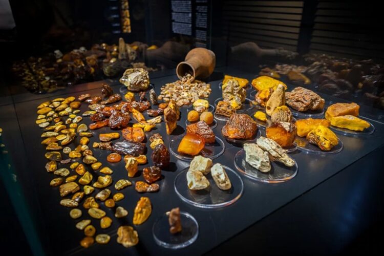 новость 16-10-2025 Немецкие туристы столкнулись с двойными ценами в музее Янтарного комбината