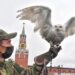 новость 27-10-2025 Московский Кремль переселил ястребов, соколов и филинов в закрытую зону