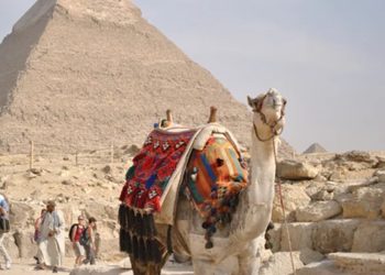 новость 26-12-2025 Российская туристка вернулась домой после удержания в египетской клинике