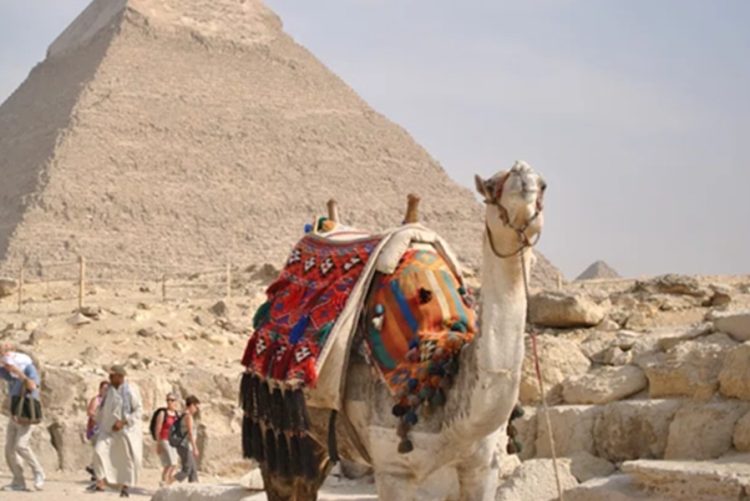 новость 26-12-2025 Российская туристка вернулась домой после удержания в египетской клинике