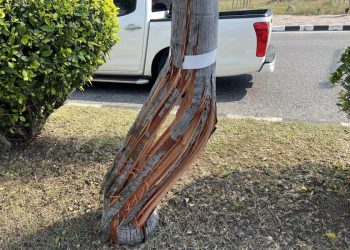 новость 02-01-2026 Счет дорожных трагедий в Паттайе в 2026 году открыл российский турист