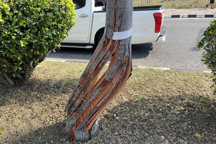 новость 02-01-2026 Счет дорожных трагедий в Паттайе в 2026 году открыл российский турист