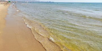 новость 22-03-2026 Курортный «детокс»: успеет ли Анапа очистить берега от нефти до начала сезона?