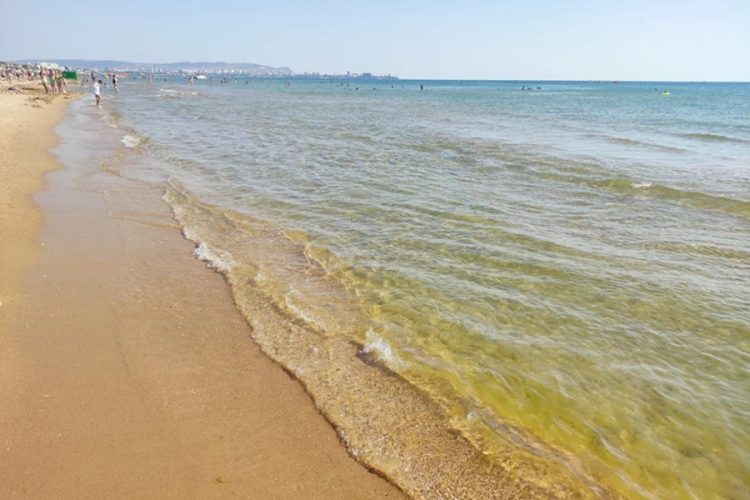 новость 22-03-2026 Курортный «детокс»: успеет ли Анапа очистить берега от нефти до начала сезона?