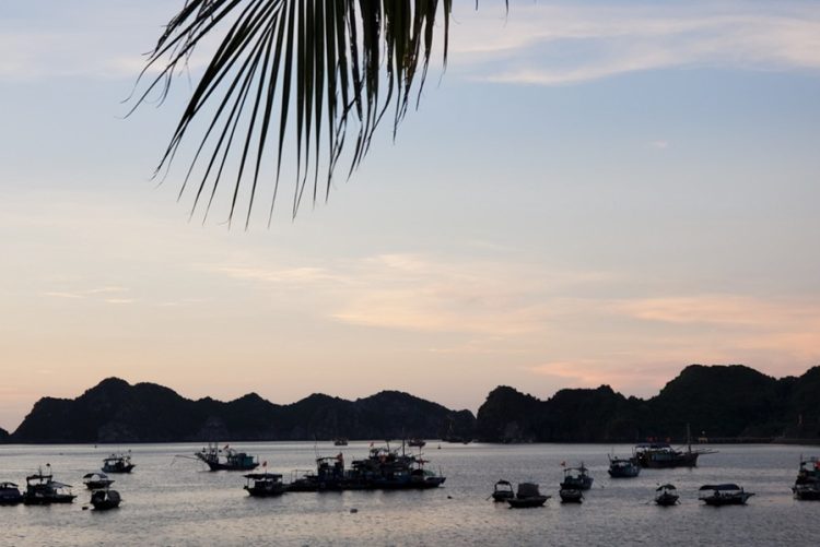 новость 18-04-2026 Вьетнам на майские по цене Турции: чартерные билеты «сбросили» в цене