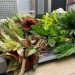 новость 04-04-2026 Как законно привезти растение из отпуска: гид по фитосанитарным правилам