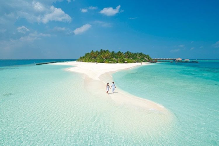 новость 17-04-2026 На Мальдивах акула лишила туриста ноги во время снорклинга