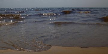 новость 21-04-2026 Эксперты оценили шансы Анапы и Сочи на встречу с нефтяным пятном