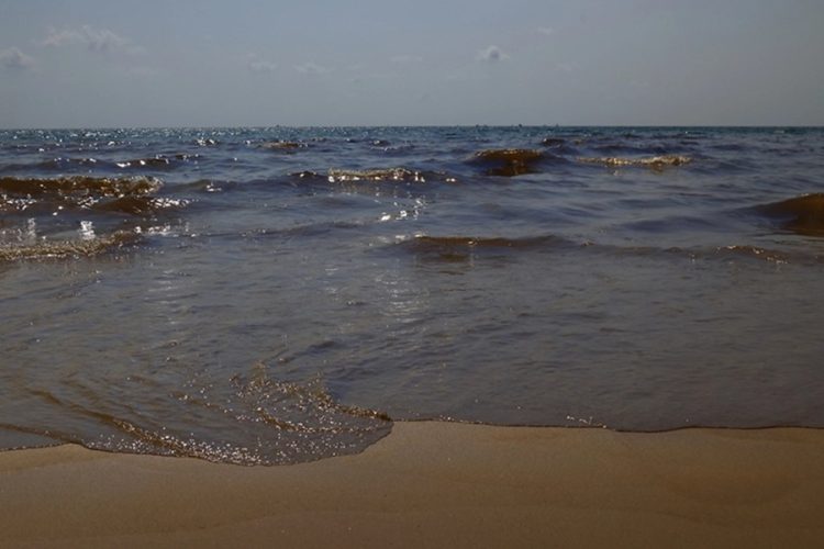 новость 21-04-2026 Эксперты оценили шансы Анапы и Сочи на встречу с нефтяным пятном