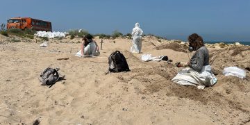 новость 13-04-2026 Экологический вызов в Анапе: пляж «Тортуга» очищают от мазута перед стартом сезона