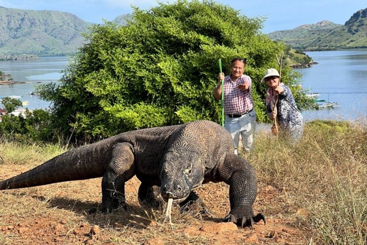 новость 19-04-2026 Парк Комодо вводит жесткие лимиты на посещение