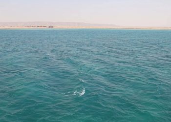 новость 26-04-2026 «Кровавое» море в Хургаде: природный феномен или экологическая катастрофа?