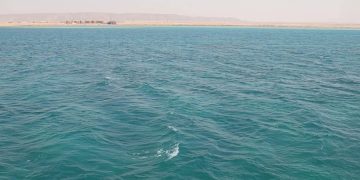 новость 26-04-2026 «Кровавое» море в Хургаде: природный феномен или экологическая катастрофа?