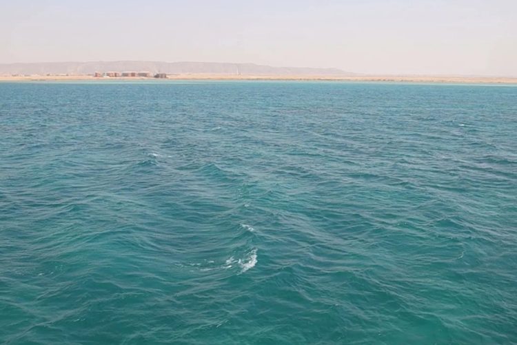 новость 26-04-2026 «Кровавое» море в Хургаде: природный феномен или экологическая катастрофа?