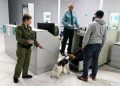 Таможенный контроль в аэропорту Толмачево — у пассажирки из Вьетнама изъяли запрещённый к ввозу мадрепоровый коралл
