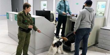 Таможенный контроль в аэропорту Толмачево — у пассажирки из Вьетнама изъяли запрещённый к ввозу мадрепоровый коралл