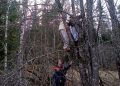 новость 01-05-2026 Карельские туристы провели два часа на дереве в ожидании спасения