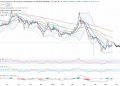 Курс доллара и евро резко вырос — туроператоры подняли внутренний курс до 82,46 рублей