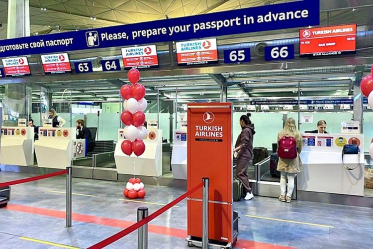 Стойка регистрации Turkish Airlines в Пулково — около 70 пассажиров не попали на рейс в Анталью