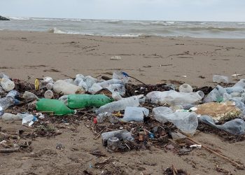 Мелкий пластиковый мусор и отходы плавают в морской воде возле берега