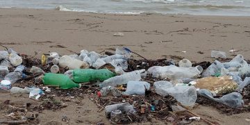 Мелкий пластиковый мусор и отходы плавают в морской воде возле берега