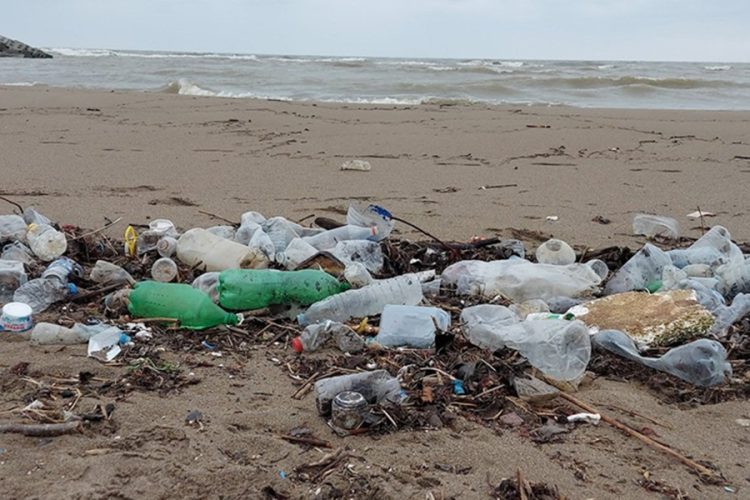 Мелкий пластиковый мусор и отходы плавают в морской воде возле берега