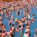 Переполненный пляж в Сочи — туристы жалуются на тесноту, рост цен и мутную воду
