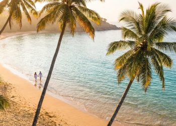 Раннее бронирование зимних туров: Pegas Touristik ставит рейсы во Вьетнам, Fun&Sun — на Шри-Ланку