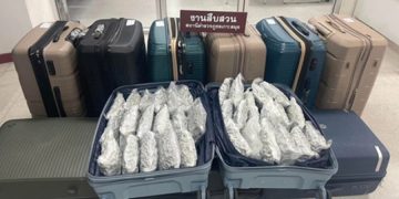 Изъятые упаковки с каннабисом в аэропорту Пхукета — россиянин пытался вывезти 17 кг