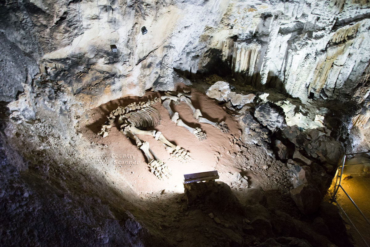 Пещера Эмине-Баир-Хосар. Скелет мамонта