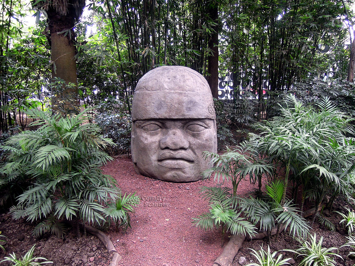 Национальный музей антропологии в Мехико. Ольмекская голова.