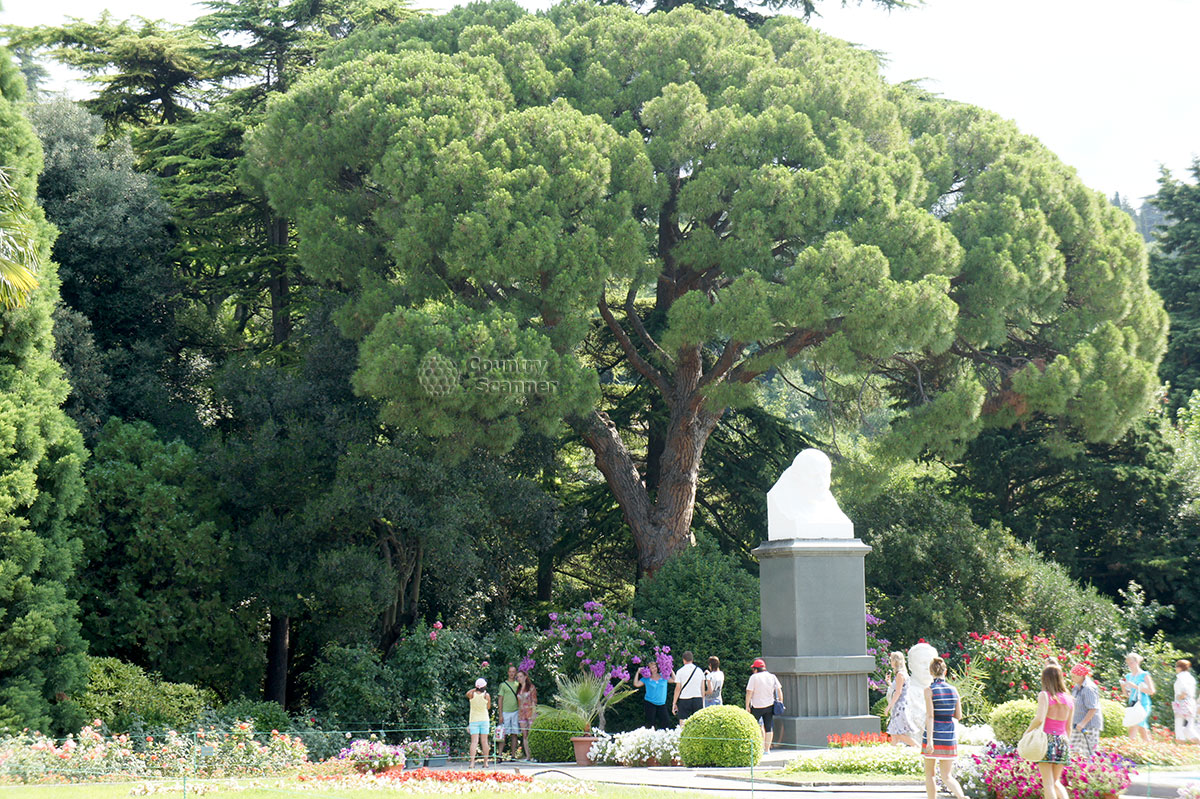 Памятник Христиану Стевену в Никитском ботаническом саду.